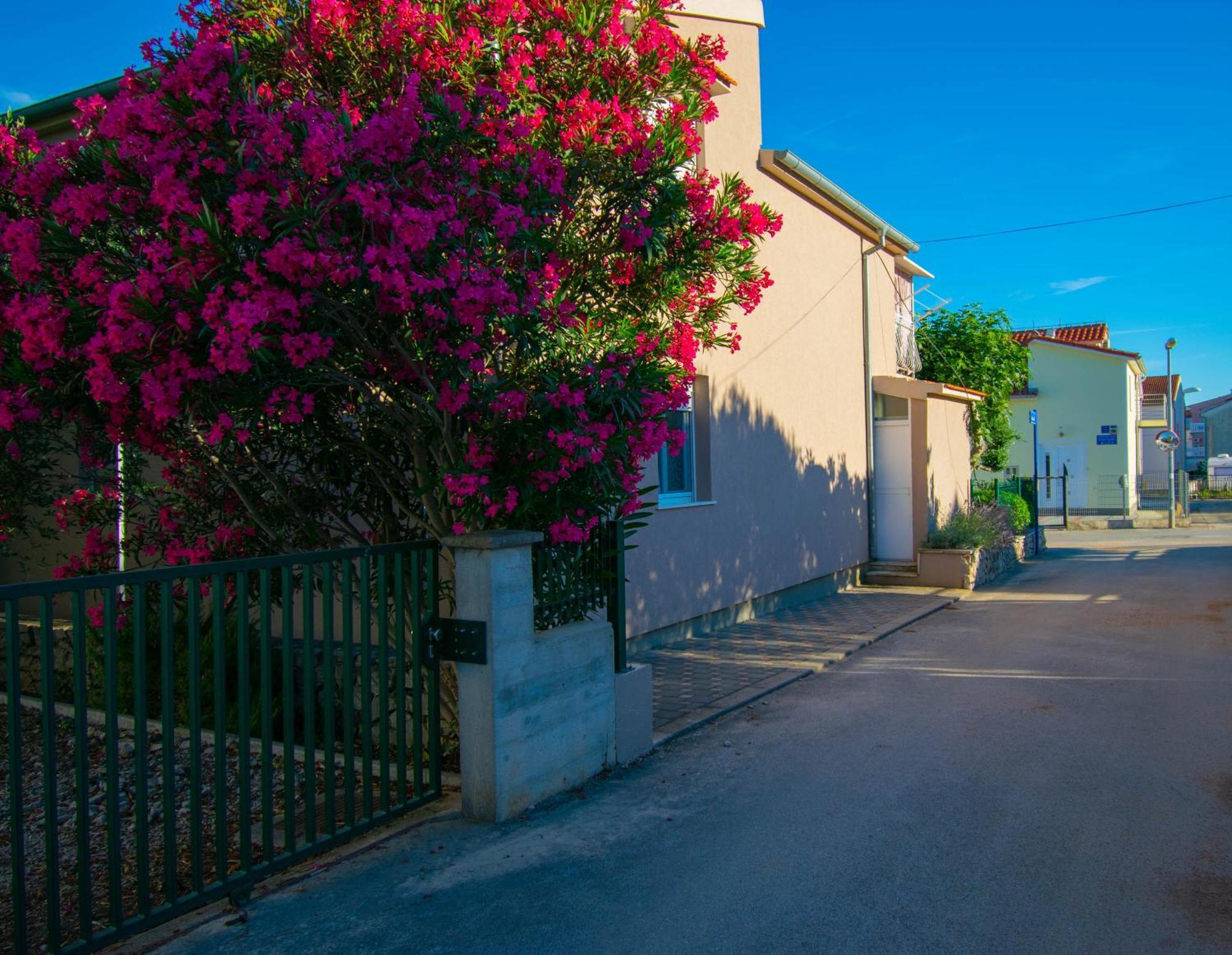 Apartments Anita Frane Vodice Eksteriør billede